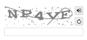 Kendo Captcha Runtime